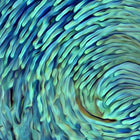 Anemone Night Leggings