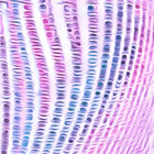 Spirit & Glitch:Technicolor Dreamcode Pink Leggings